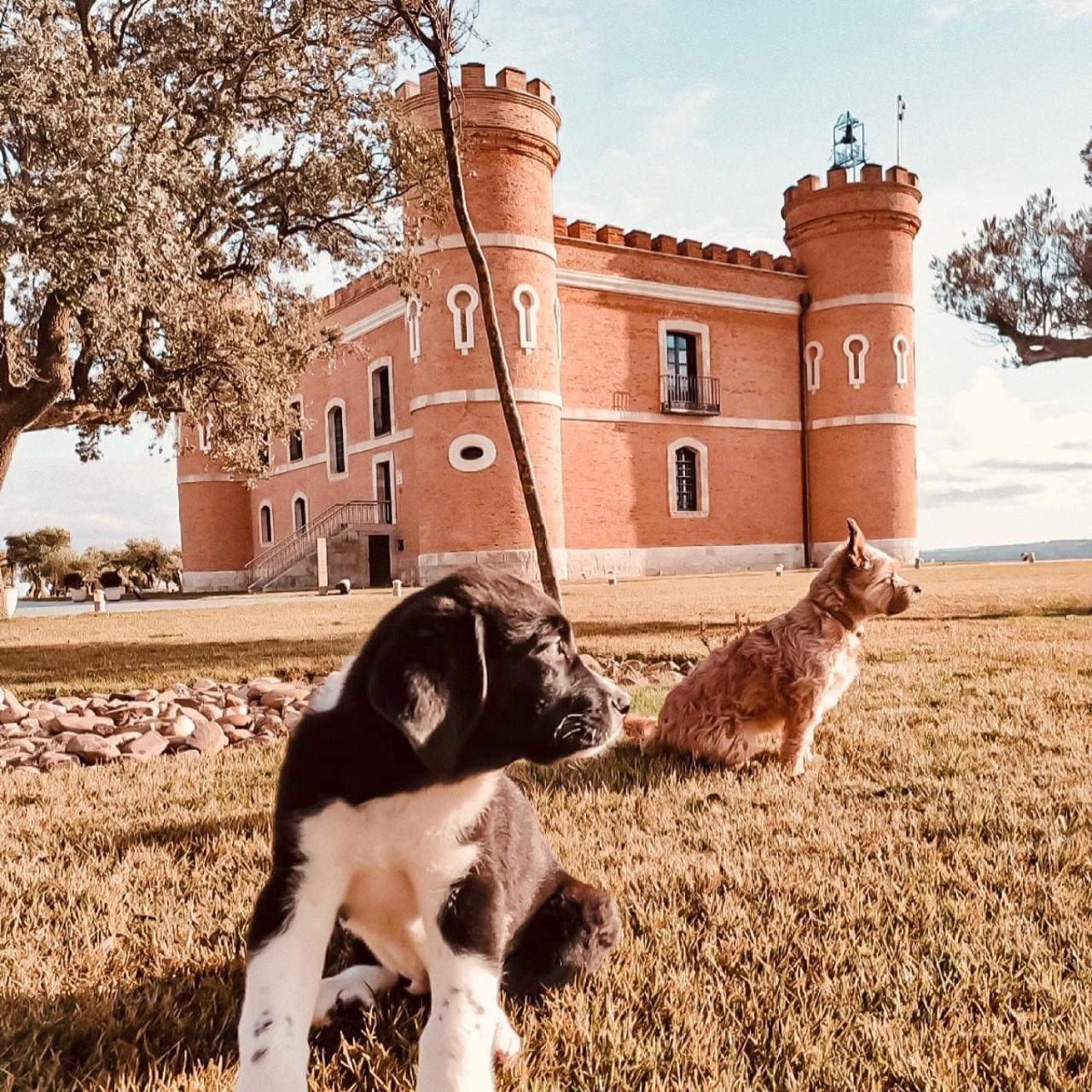 Castillo De Monte La Reina Posada Real & Bodega Toro Extérieur photo